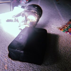 Gucci parfums ~ makeup bag